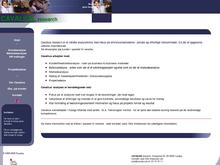 Cavalius Research & Marketing